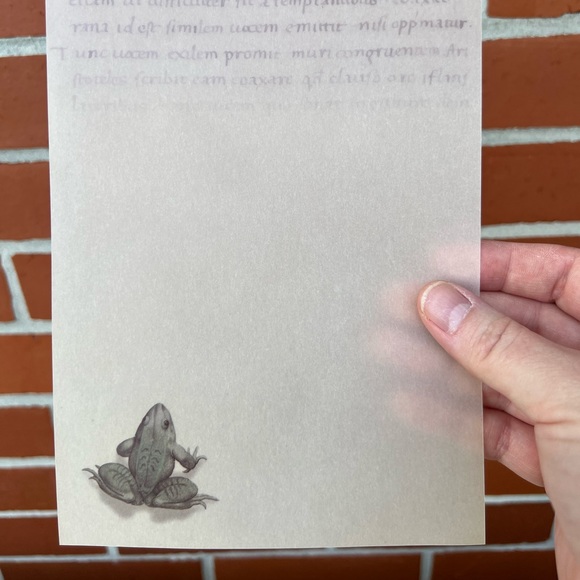 The Vatican Library Collection FROG Vintage Stationery Fine Writing Vellum Paper - Picture 3 of 11